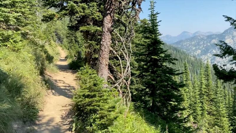 Montana Jewel Basin Hiking