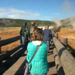 yellowstone hiking