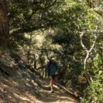 Backpacker Hiking Through a Shaded Forest, Demonstrating Sun Protection Essentials with A Hat and Long Sleeves