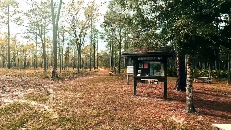 A View of A Trailhead and Information Board Surrounded by Trees in Middleburg