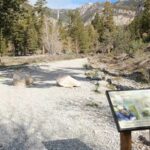 A Gravel Path Leading Through Trees, with A Sign Highlighting the Importance of Preserving the Hiking Trails Near Las Vegas