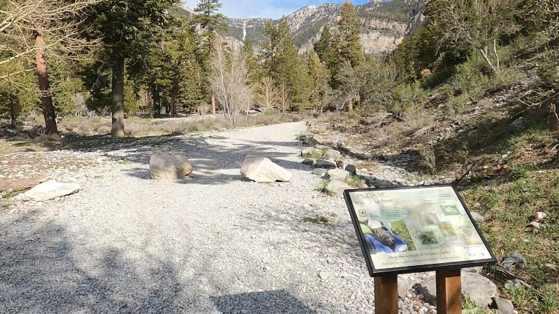 A Gravel Path Leading Through Trees, with A Sign Highlighting the Importance of Preserving the Hiking Trails Near Las Vegas