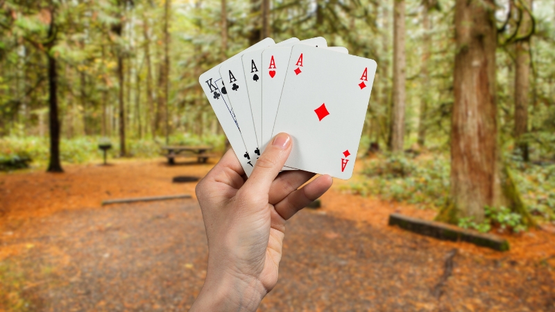 A Hand Holding a Royal Flush of Cards with A Forest Backdrop, Perfect for A Backpacking Adventure