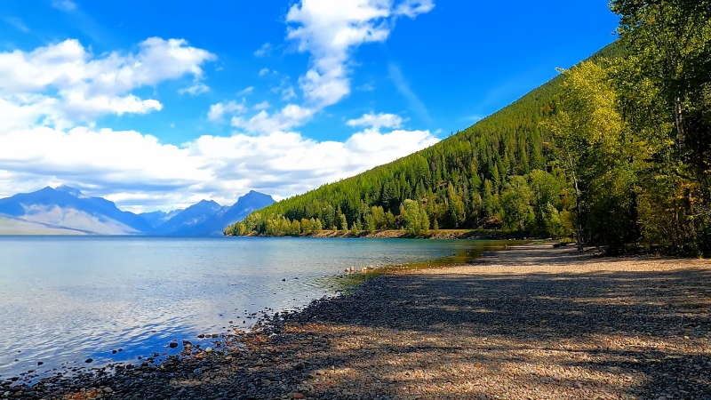 A View of The Shoreline of Lake McDonald in Glacier National Park