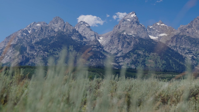 A Scenic View of Rugged Mountains and Lush Greenery, Perfect for A Montana Road Trip